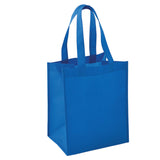 Grocery Shopping Bag - Unprinted - Tribute Packaging Inc.